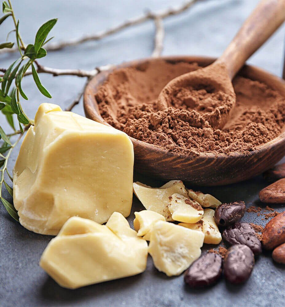 Cocoa in proceesing Cocoa in proceesing