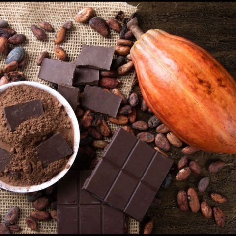 Dried cocoa bean seeds
