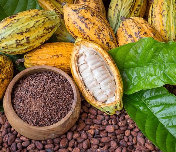Cacao-Beans-2 Cacao-Beans-2