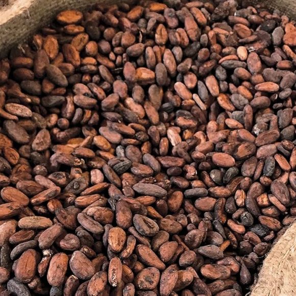 cocoa-beans3 cocoa-beans3